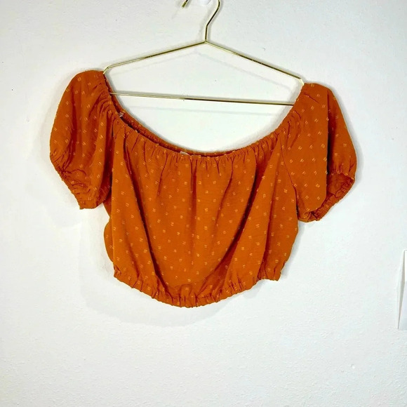 🆕 Lush Rust Colored Crop Top - Picture 2 of 9